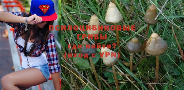 MDMA Premium VHQ Белокуриха